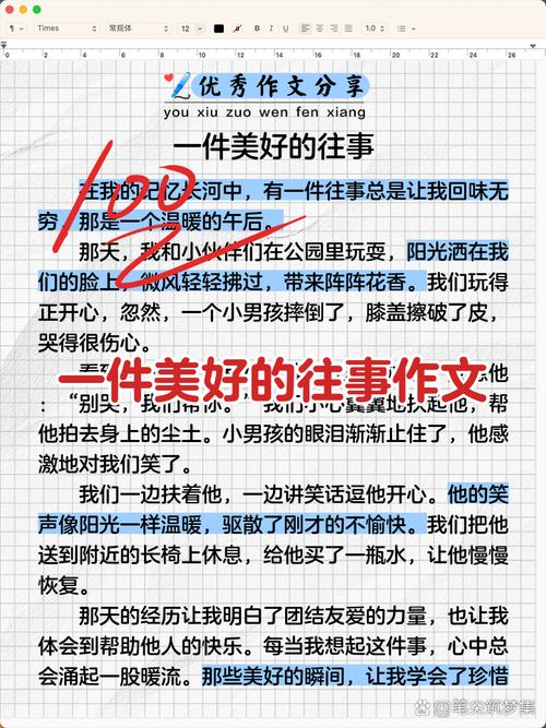 初中往事的作文800字