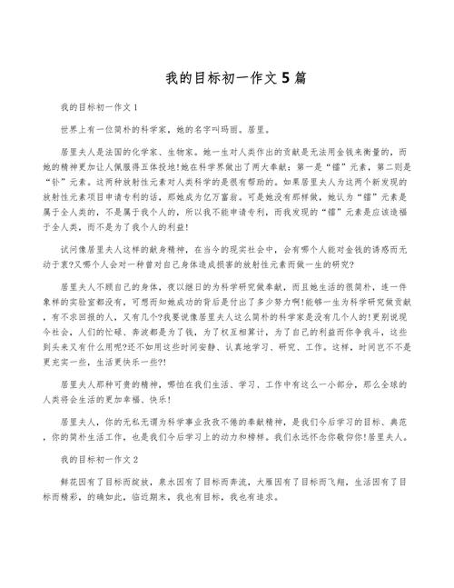 为人生设定目标初中作文