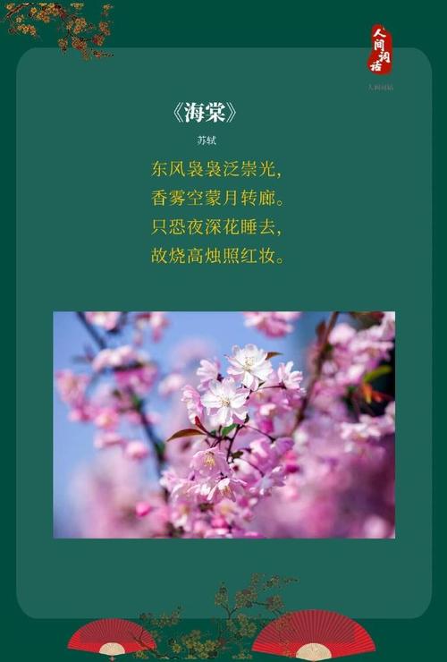 关于花的古诗大全小学