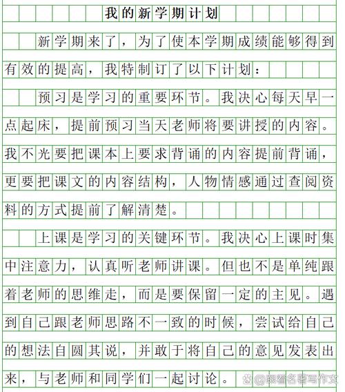 初中新计划作文600字