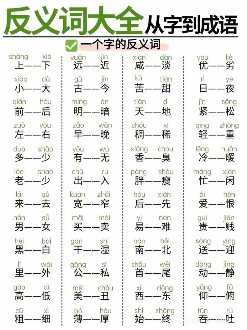 小学语文必会基础知识