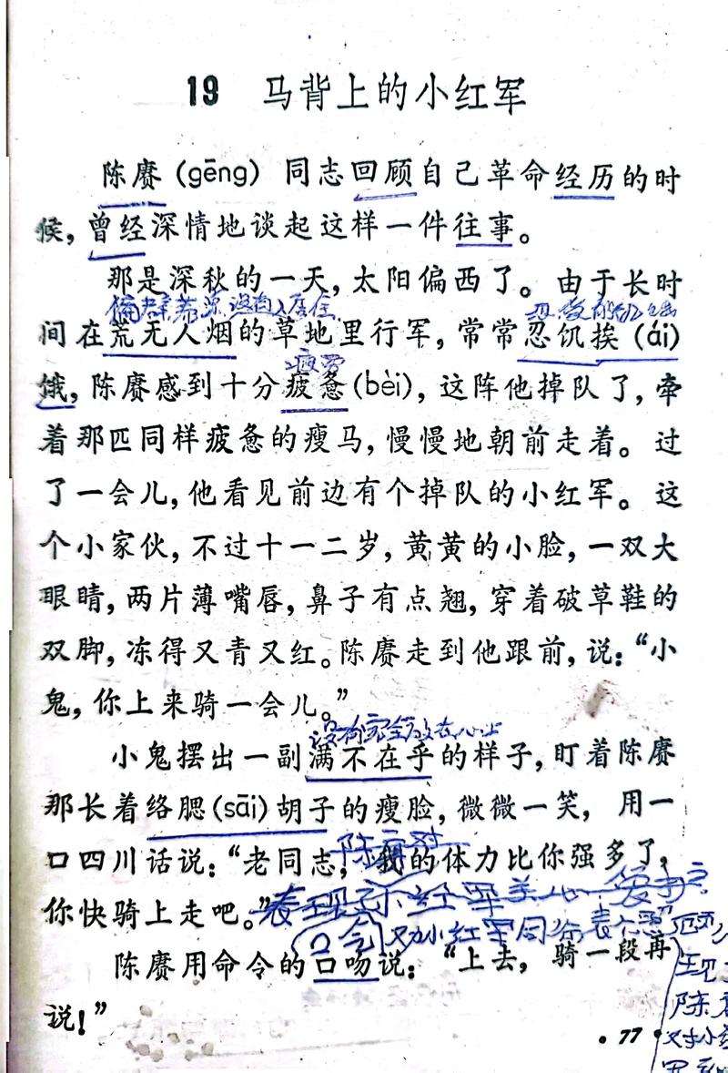 小学语文试讲经典课文