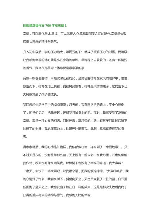 这就是幸福初中优秀作文