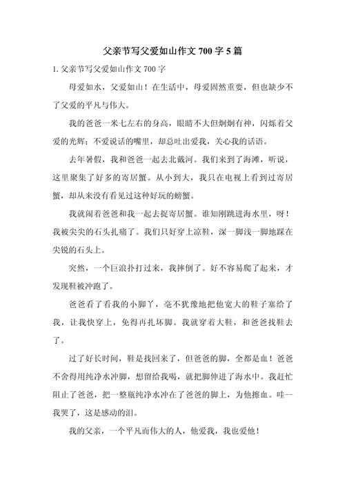 父亲的愿望作文初中作文