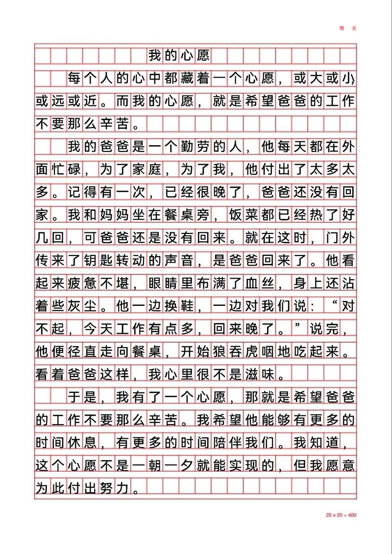 父亲的愿望作文初中作文