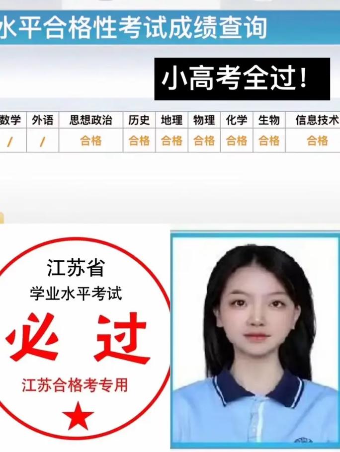 江苏省中小学信息技术