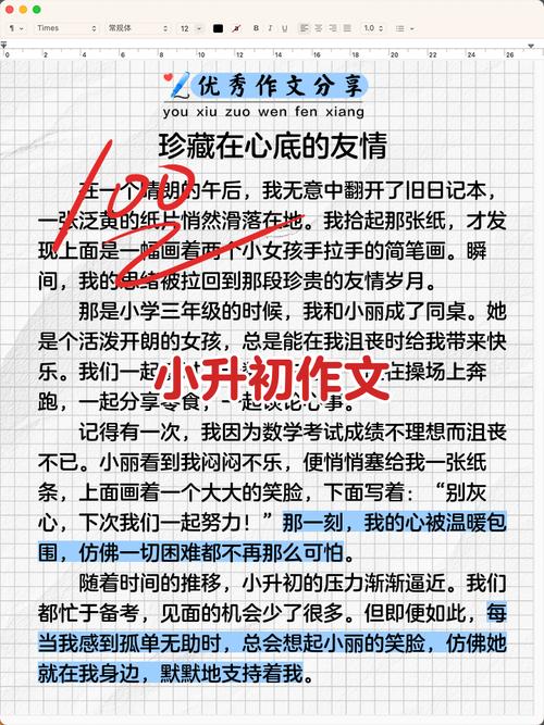 小学升初中感想400字