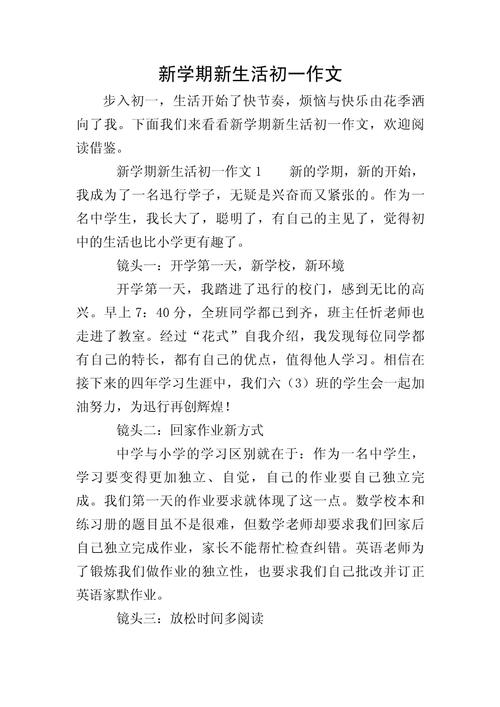 升入初中的打算600字