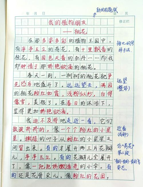 写桃园作文600字初中