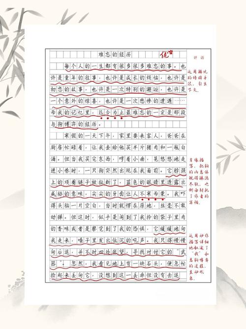 难忘她600字作文初中