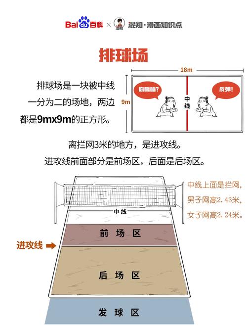 小学排球场地标准尺寸