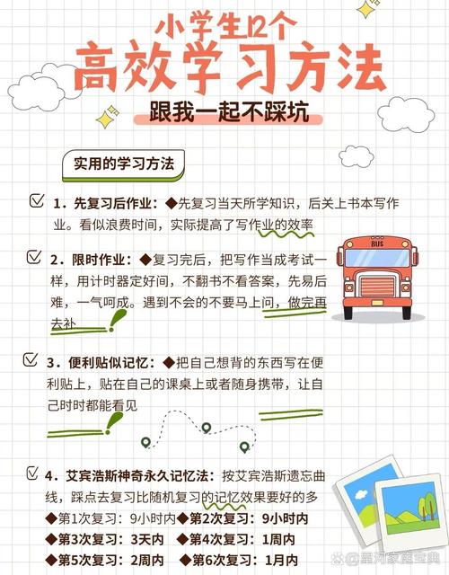 小学生学习方法有哪些