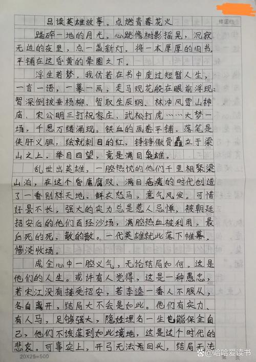 读水浒初中作文700字