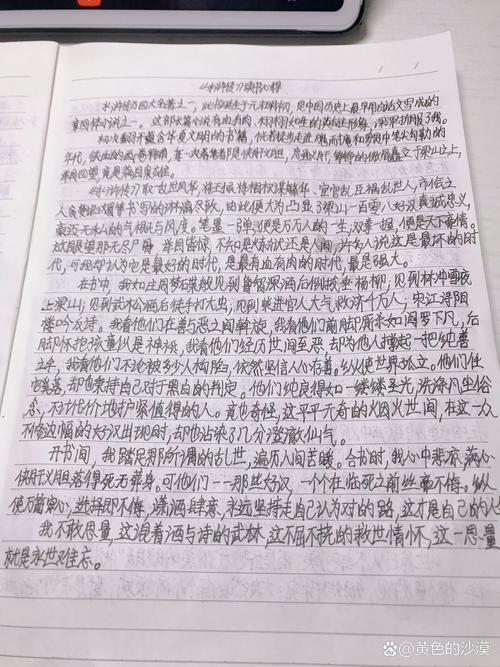 读水浒初中作文700字