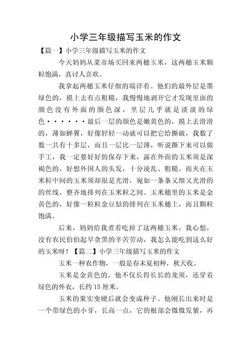 掰玉米600字初中作文