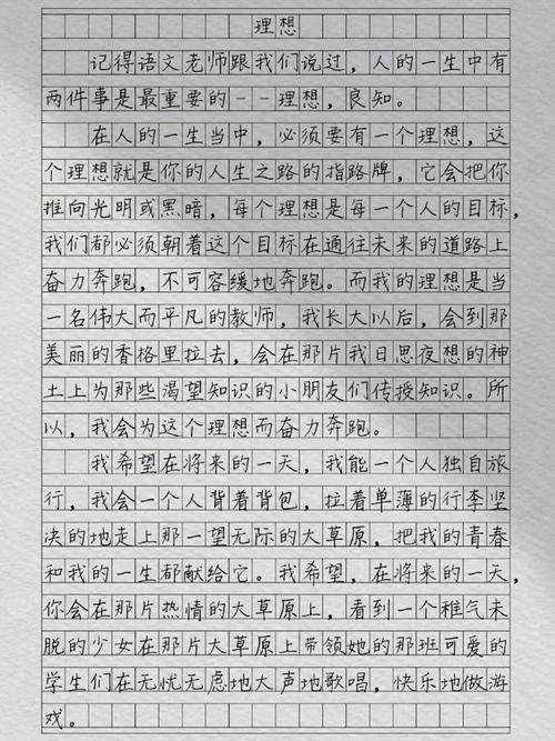 理想的范文600字初中