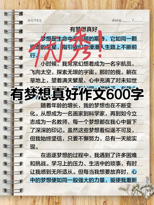 理想的范文600字初中