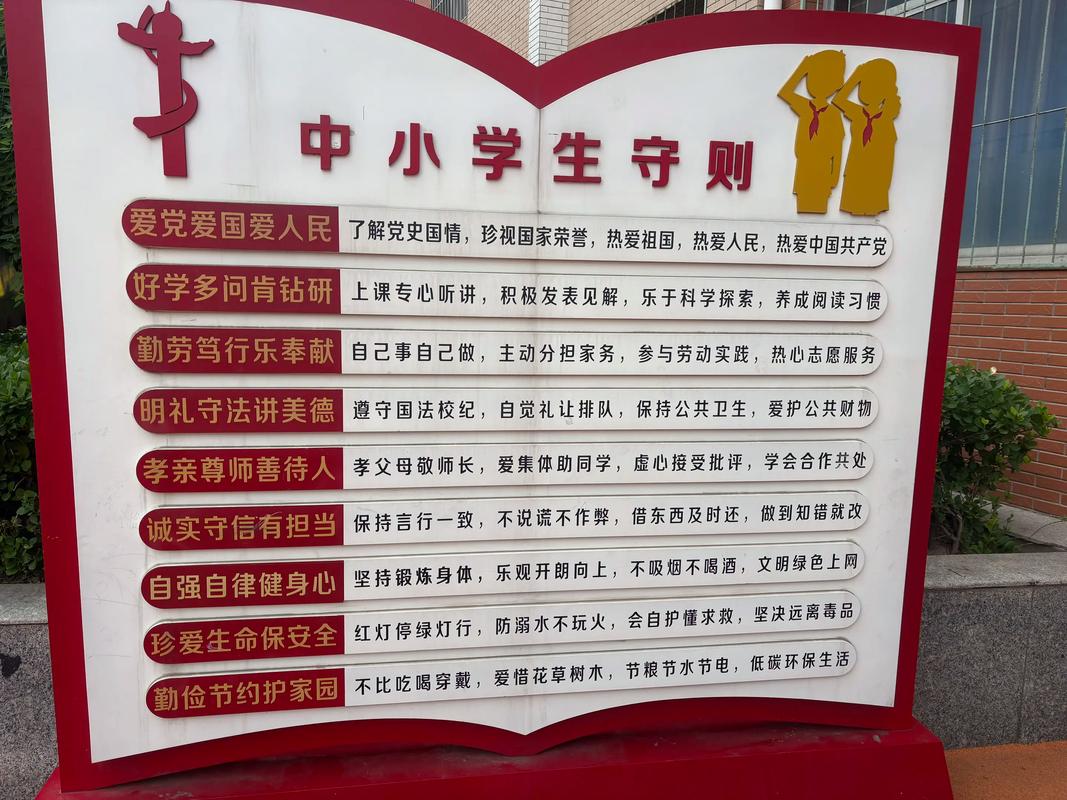 小学文化可以学会计吗