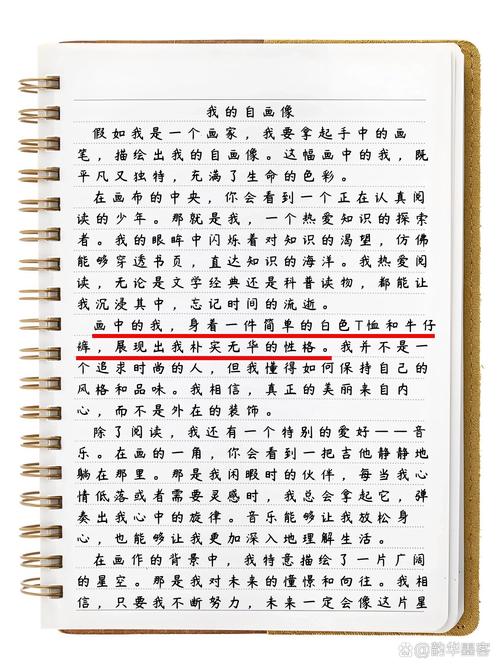 自画像初中作文800字