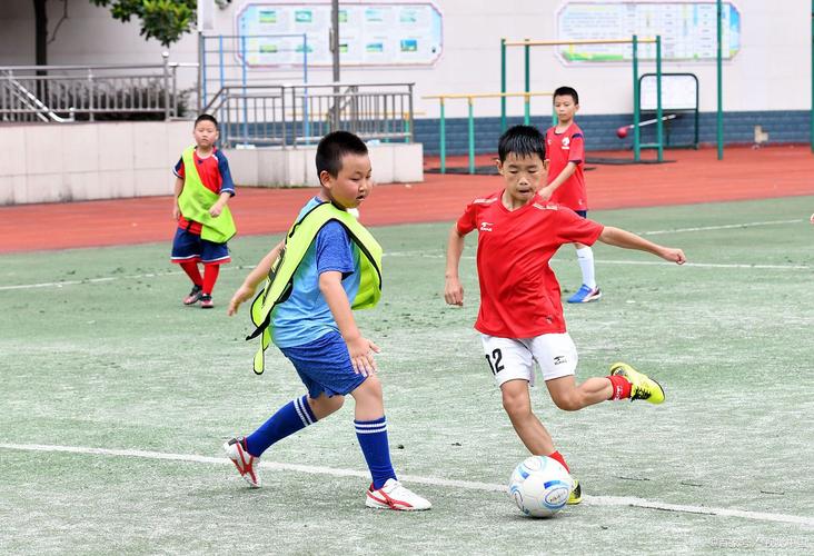 小学生课余生活有哪些