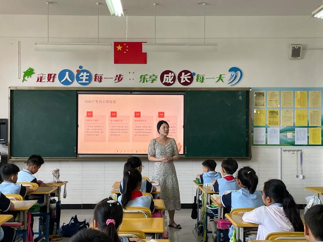 洛阳青岛路小学怎么样