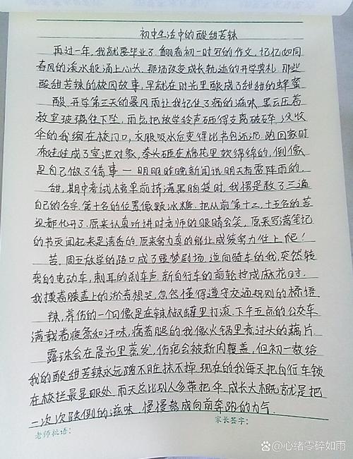 初中记事类文章600字