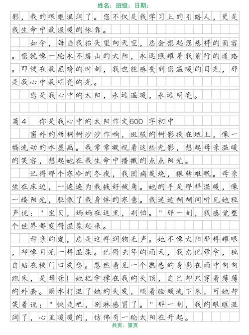 你就是太阳作文初中作文