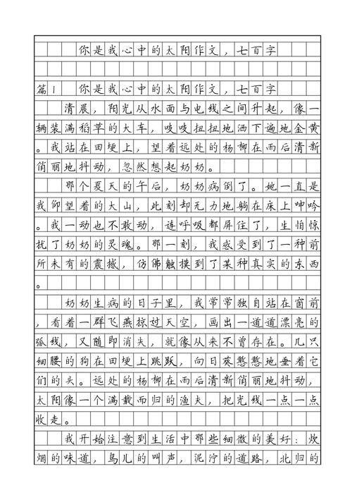 你就是太阳作文初中作文