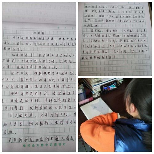 疫情的感受300字初中