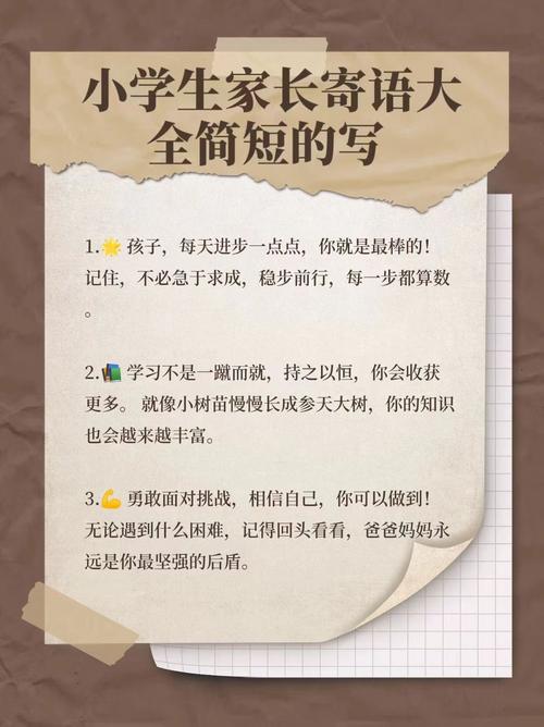 小学家长对孩子的期望