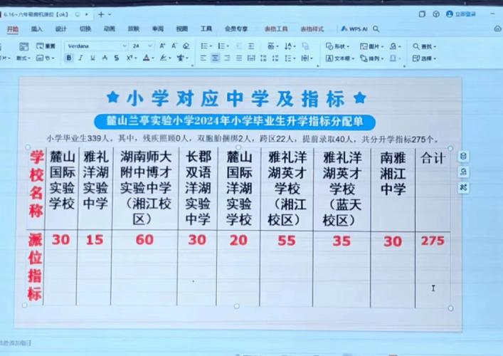 湘府英才小学微机派位