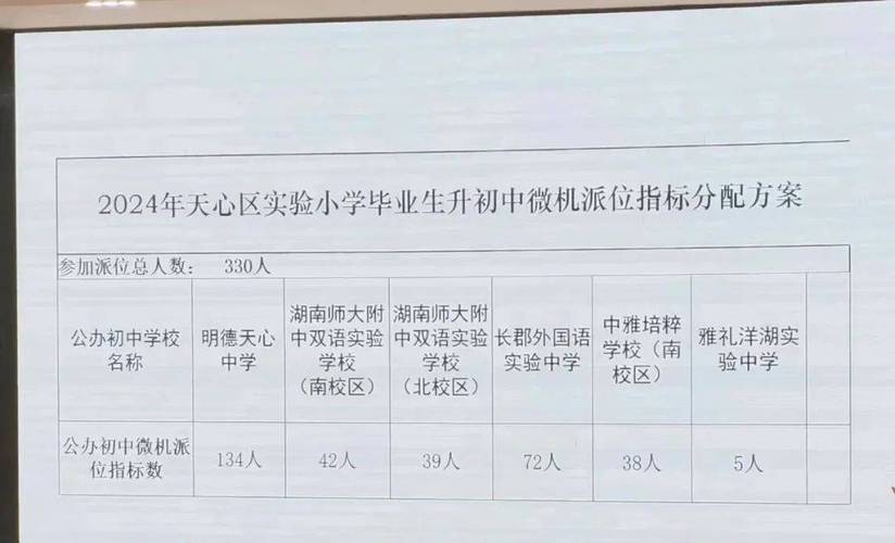 湘府英才小学微机派位