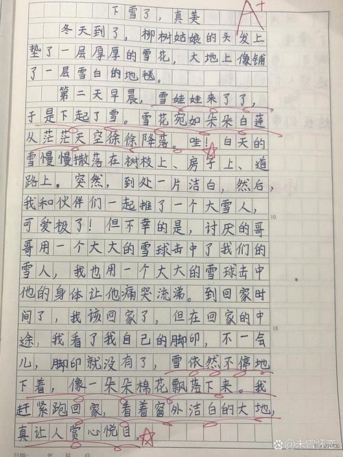 下雪了作文600字初中