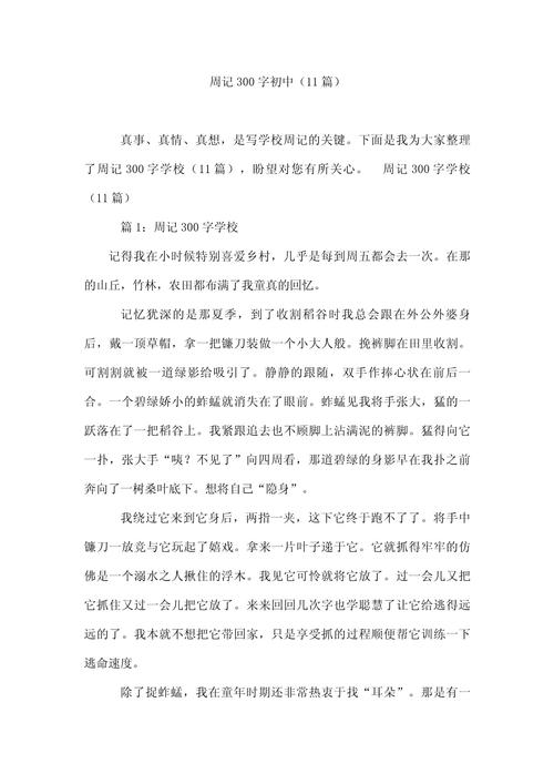 小练笔作文300字初中