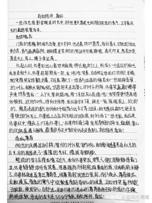 有你陪伴_真好初中作文