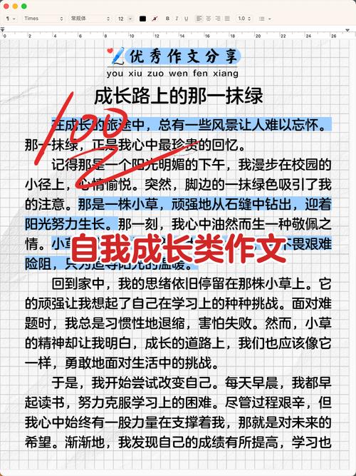 我的成长经历初中300