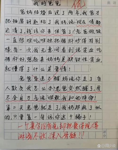小学作文爸爸对我的爱