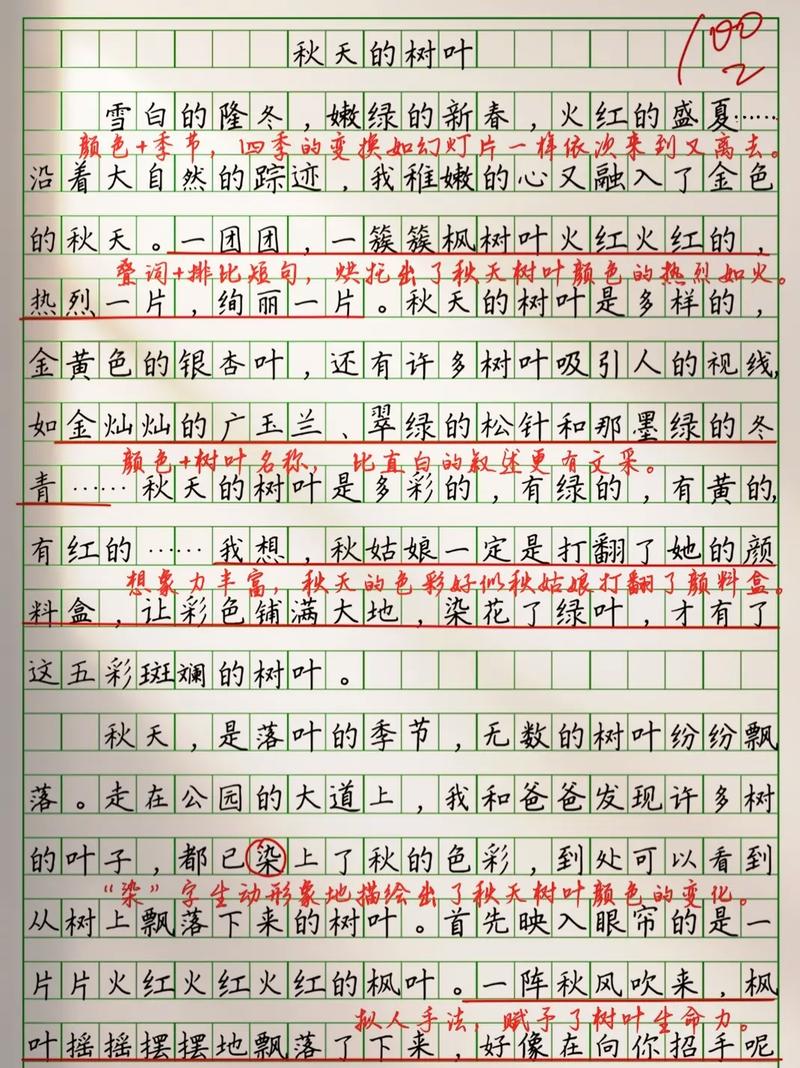 秋天的树叶初中600字