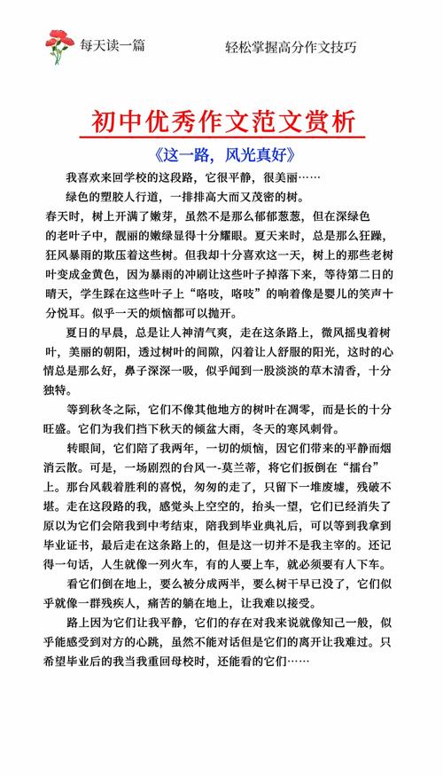 初中作文精彩片段与赏析