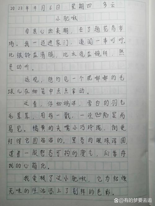 周记150字大全小学