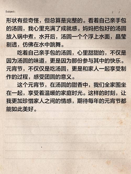 初中作文煮汤圆600字