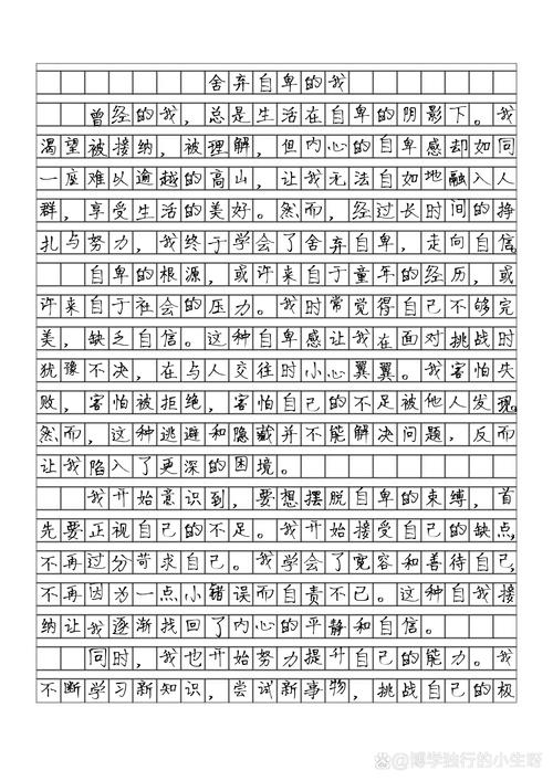 丢了曾经的自己作文初中