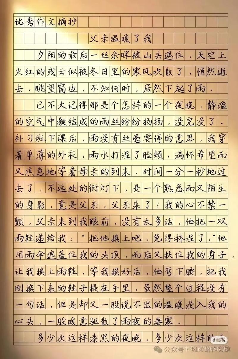 父亲的作文700字初中