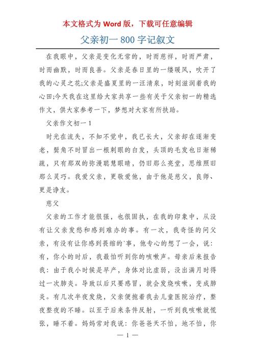 父亲的作文700字初中