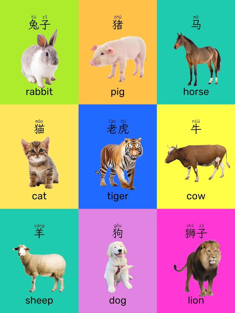 北京早教英语早教 伯