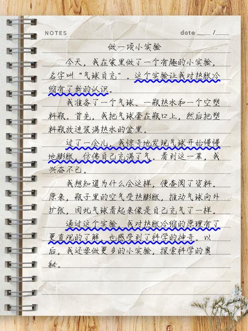 小实验作文300字初中