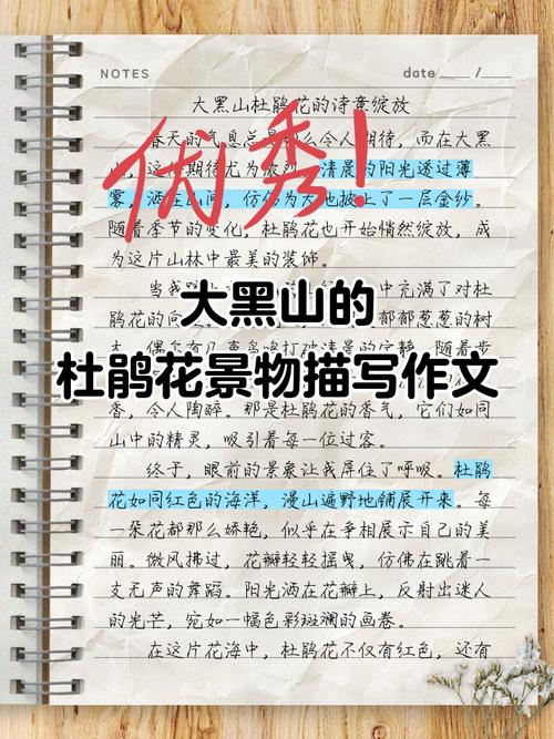 又到山花烂漫时初中作文