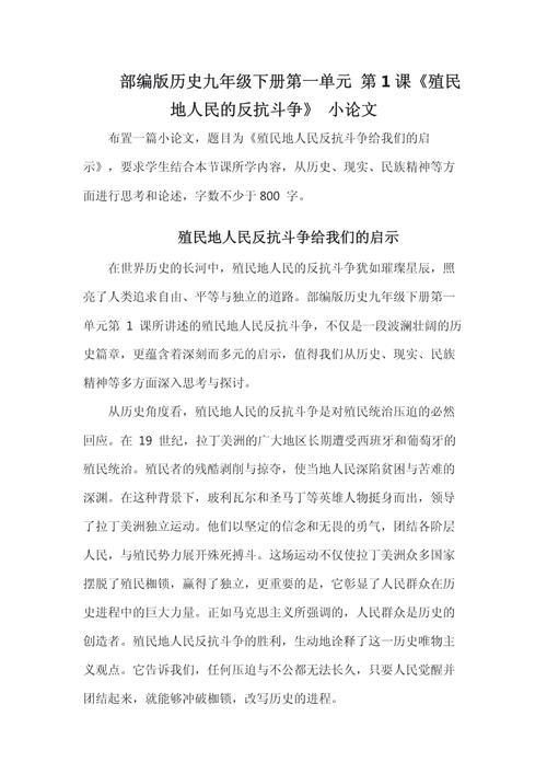 历史小论文初中300字