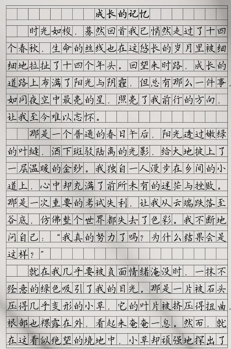成长的汗水800字初中