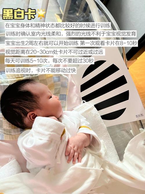 婴儿早教多少钱一个月